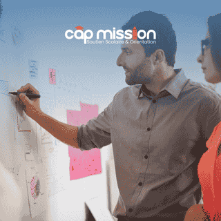 Développement Professionnel : Langues et Compétences Techniques